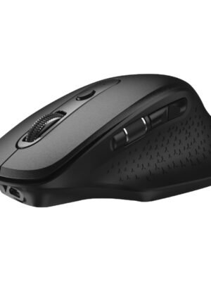 WINX DO More Wireless and Bluetooth Mouse