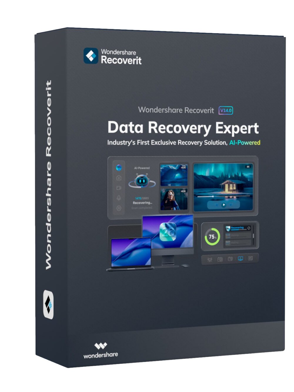 Wondershare Recoverit Data Recovery Expert for Windows Individual (Digital Annual License)