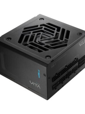 FSP VITA GM 1000W Gold Power Supply - ATX 3.1, PCIe 5.1, 80 Plus Gold