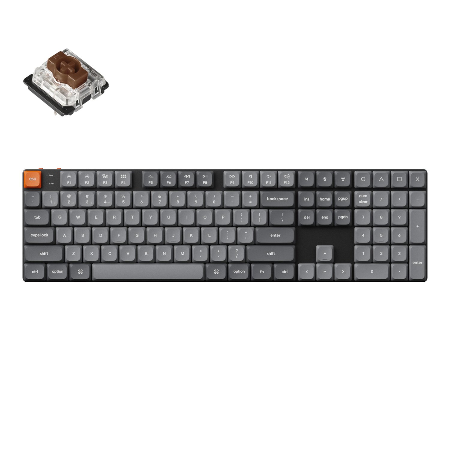 Thumbnail product image - 2