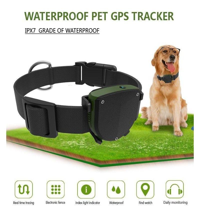 RCT GPS Pet Tracker - Image 6