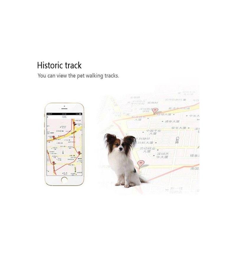 RCT GPS Pet Tracker - Image 5